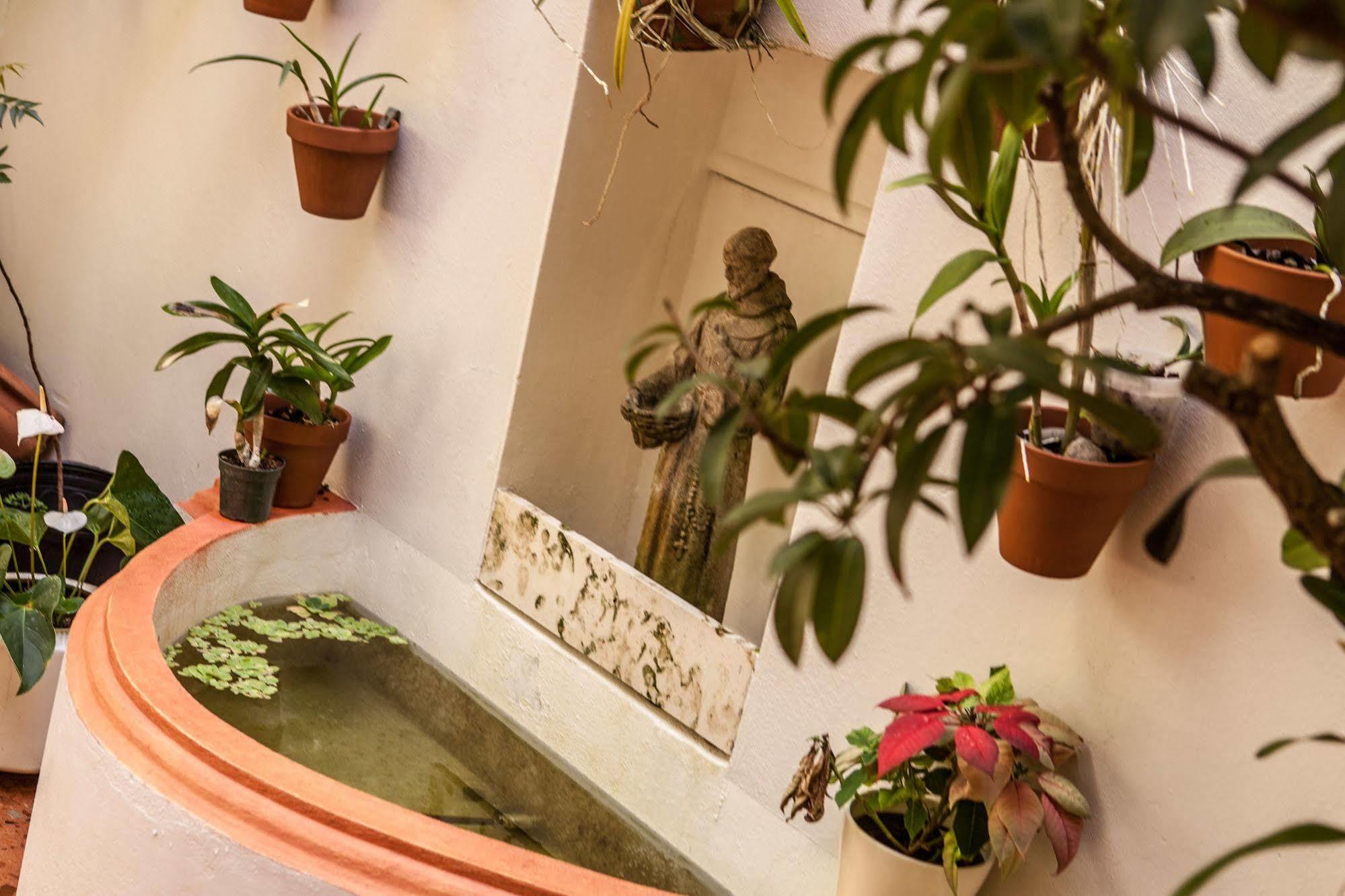 Casa Sol Bed And Breakfast サンジョアン エクステリア 写真